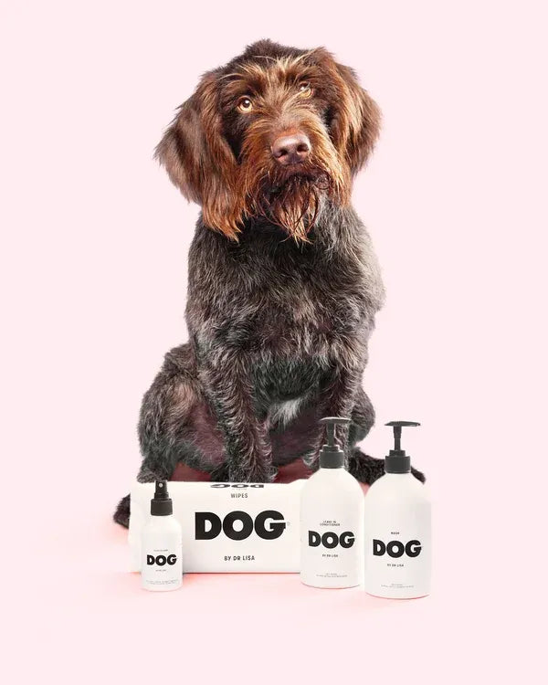 Complete Dog Grooming & Care Set