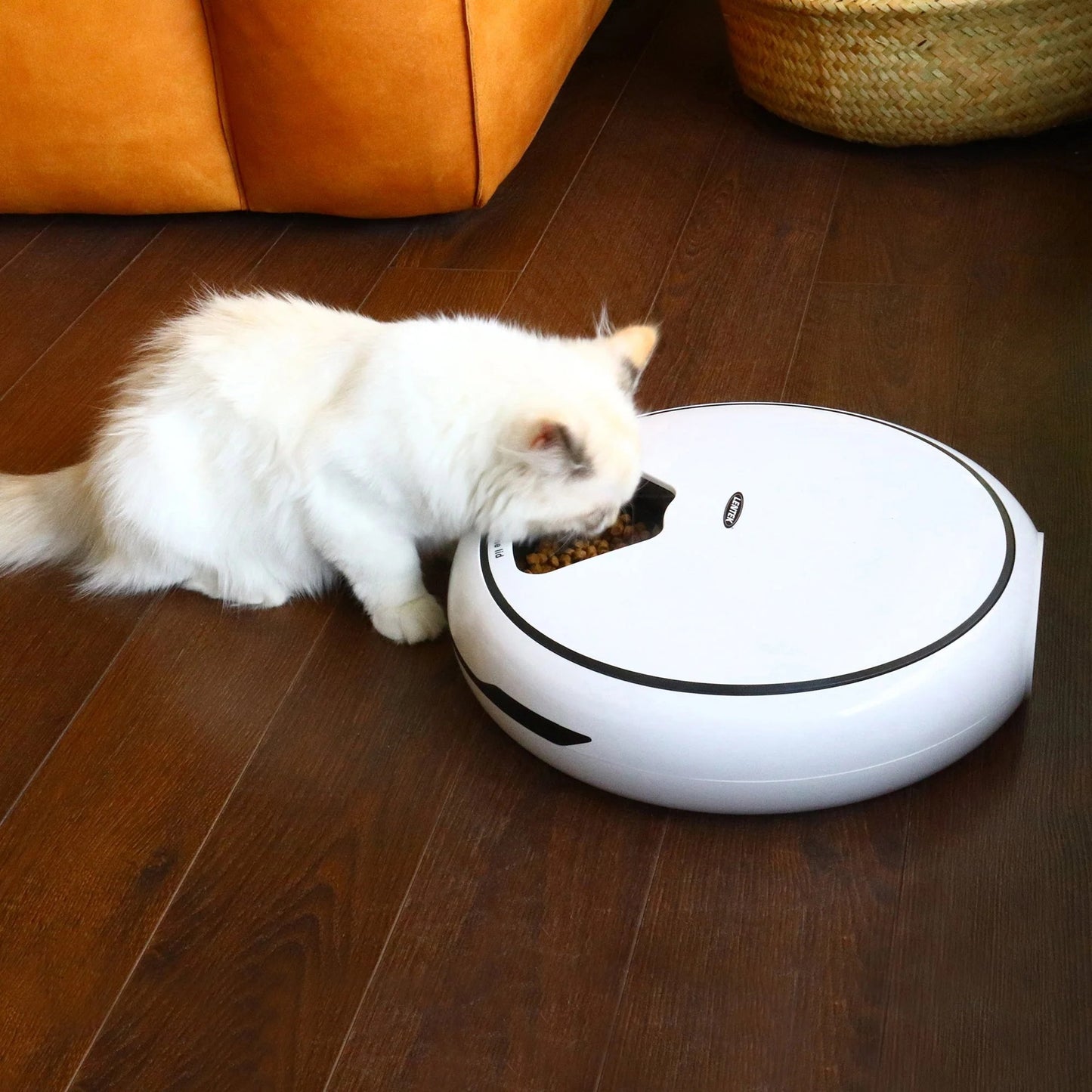 Automatic Pet Feeder with Programmable Timer, 5-Meals Dispenser