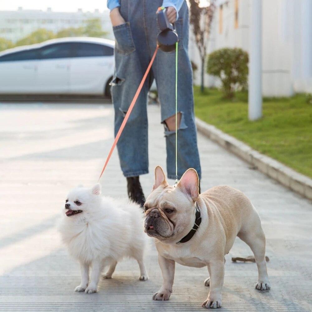 3M Retractable Dual Dog Leash with Flashlight