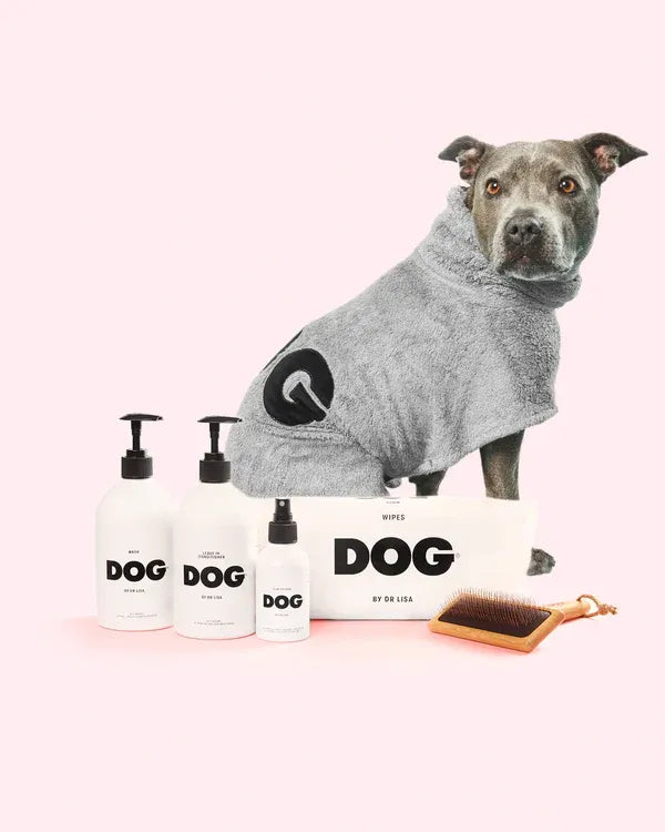 Complete Dog Grooming & Care Set