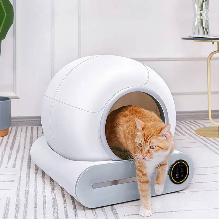 Automatic Self-Cleaning Cat Litter Box – Extra Large, Odor Control