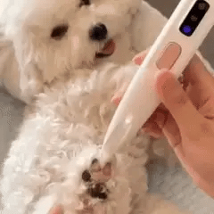 Electric Fur Trimmer