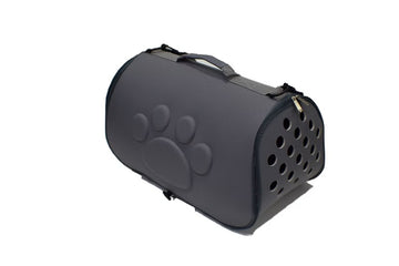 Travel Freely, Bond Deeply with Your Pet