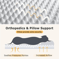 Human Dog Bed for Adults – Large Washable Bed with Blanket & Pillow