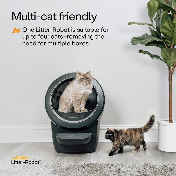 Extra Large Self-Cleaning Cat Litter Box with APP Control (White)