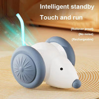 Interactive Pet Toy with LED Lights – Smart Sensing Automatic Mouse