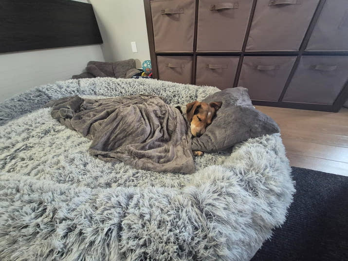 Human Dog Bed for Adults – Large Washable Bed with Blanket & Pillow