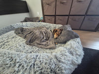 Human Dog Bed for Adults – Large Washable Bed with Blanket & Pillow