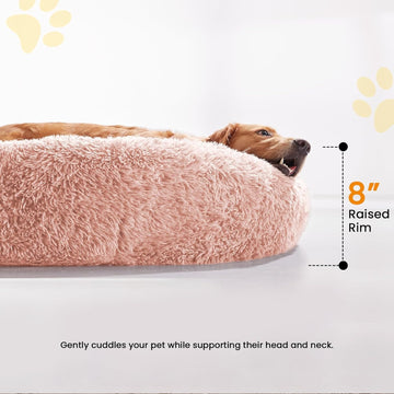 Transform Your Dog’s Comfort and Peacefulness Today!