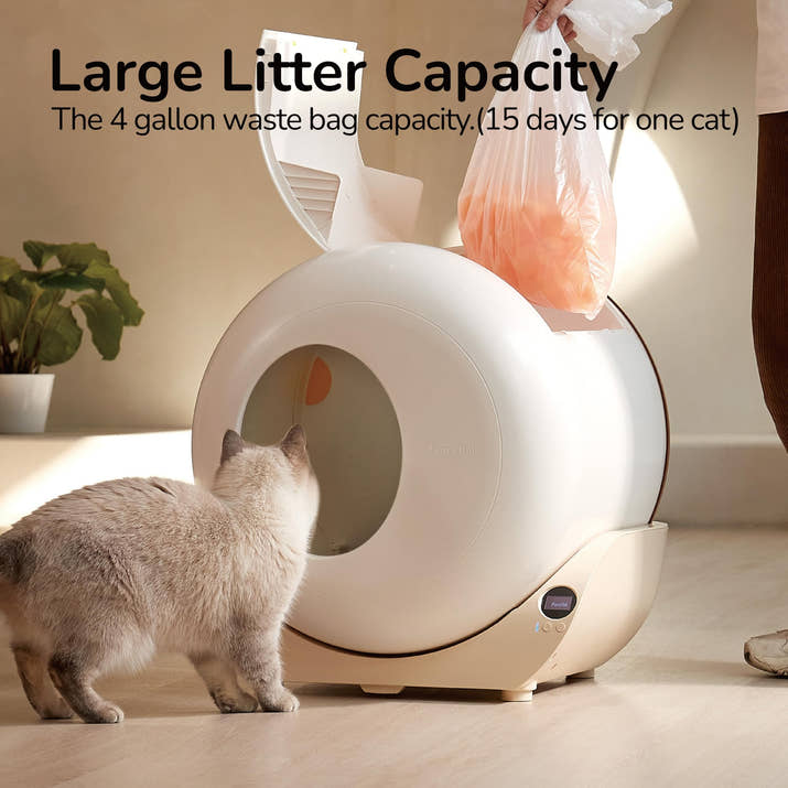 Extra Large Self-Cleaning Cat Litter Box with APP Control (White)