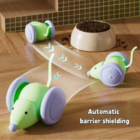 Interactive Pet Toy with LED Lights – Smart Sensing Automatic Mouse