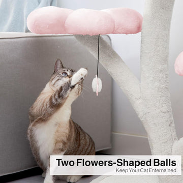 Elevate Your Cat's Happiness and Comfort