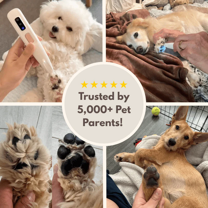 Electric Fur Trimmer