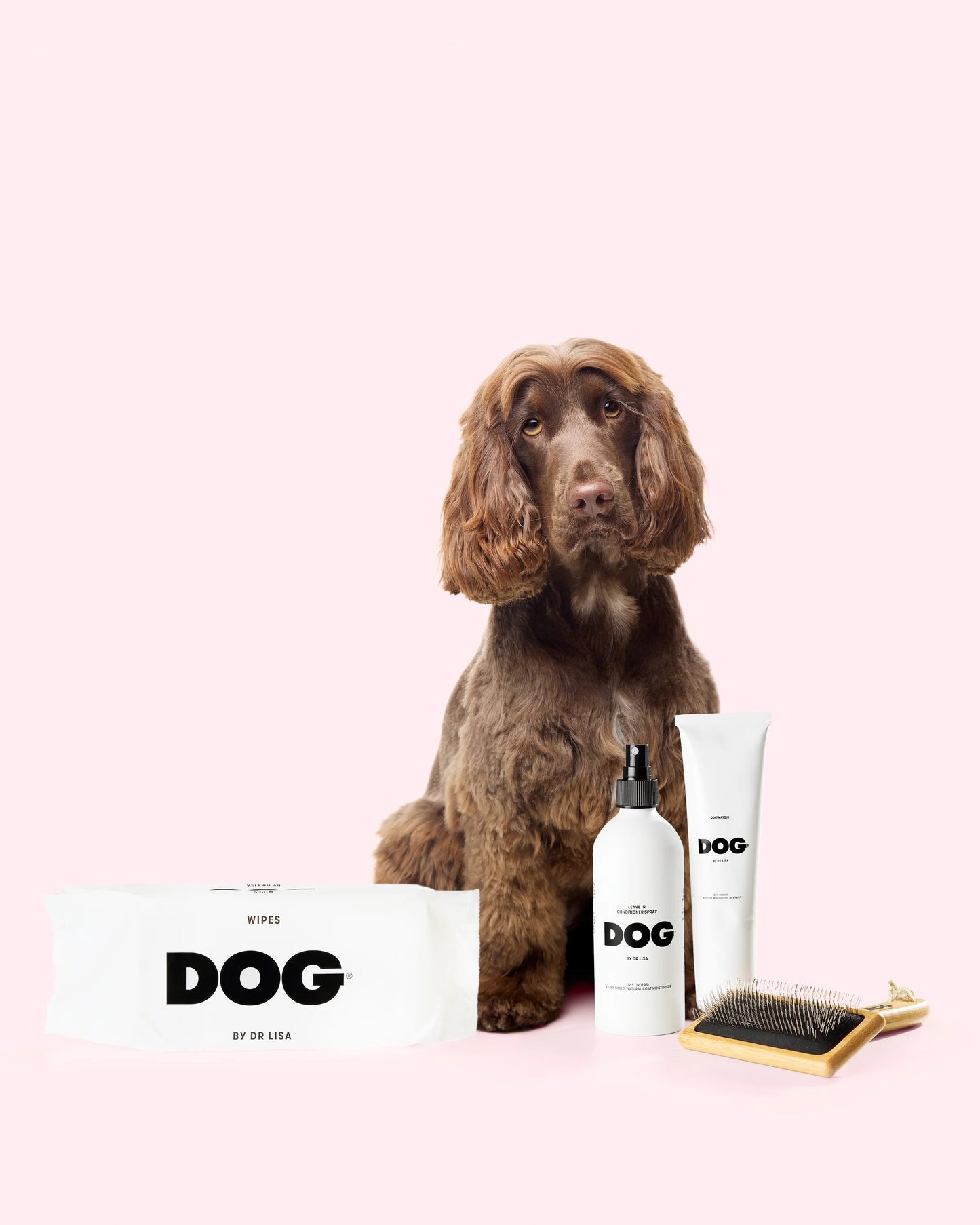 Complete Dog Grooming & Care Set