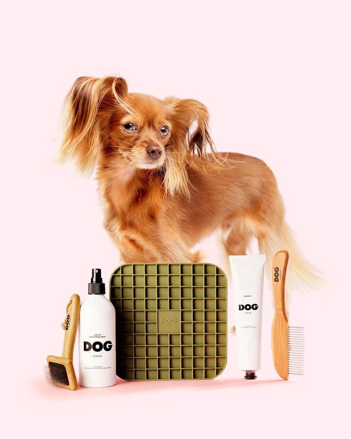 Complete Dog Grooming & Care Set